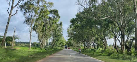 The rides, resting after the drive.