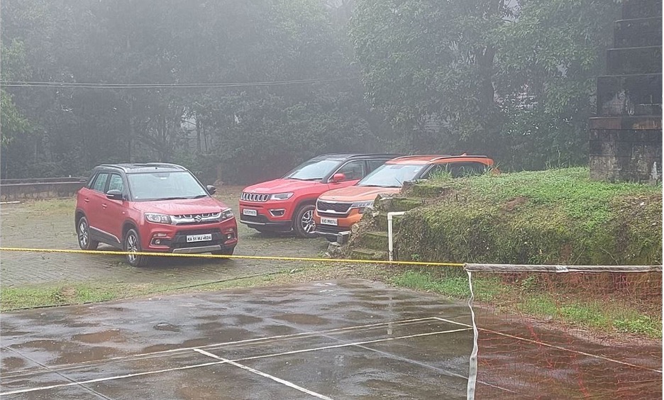 Walk through the plantation