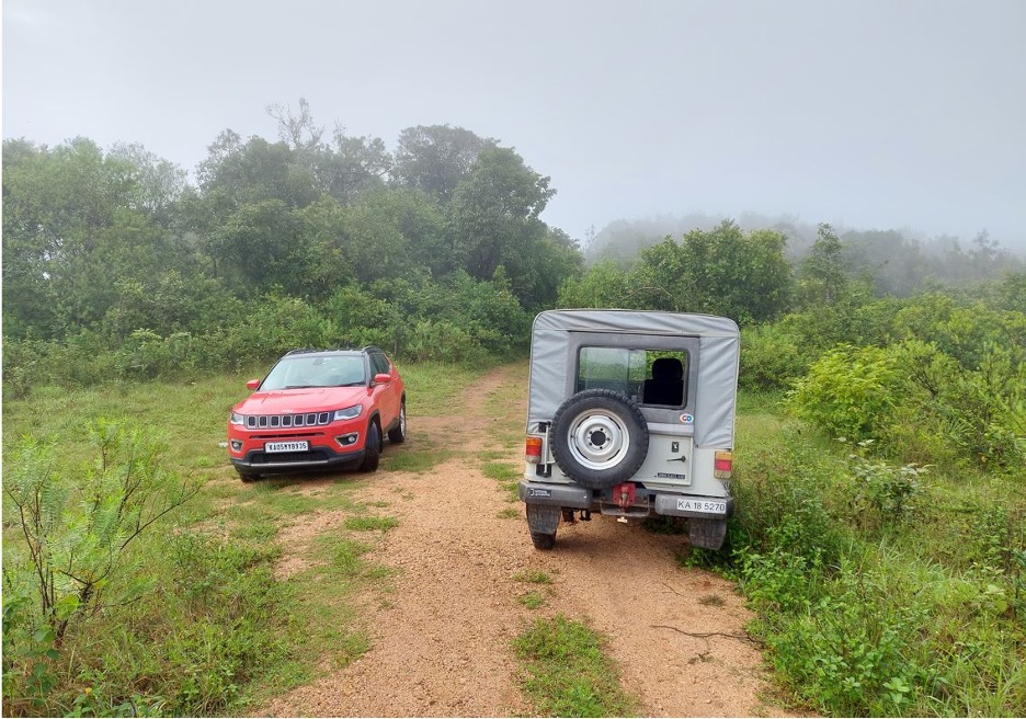 Max had fun exploring the new terrain