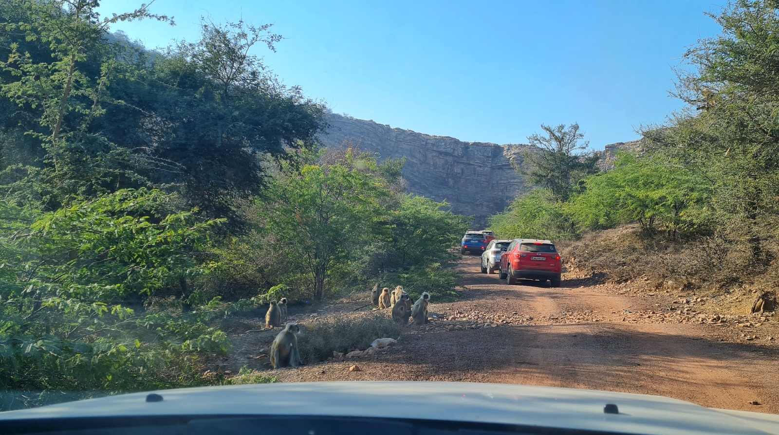 On the Forest Off-roading road&mldr;