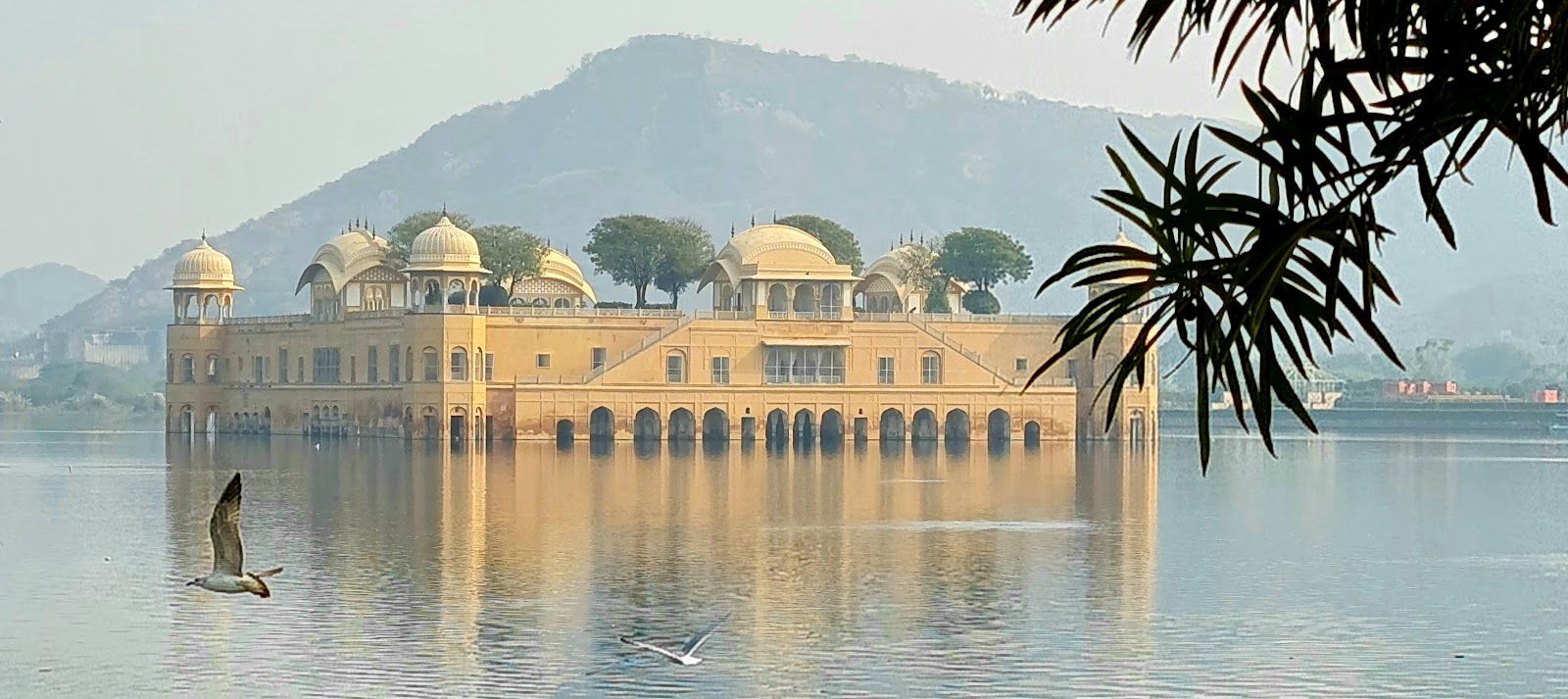 Jal Mahal