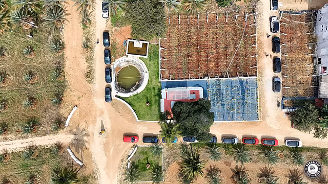 Bjc 8Th Anniversary 02