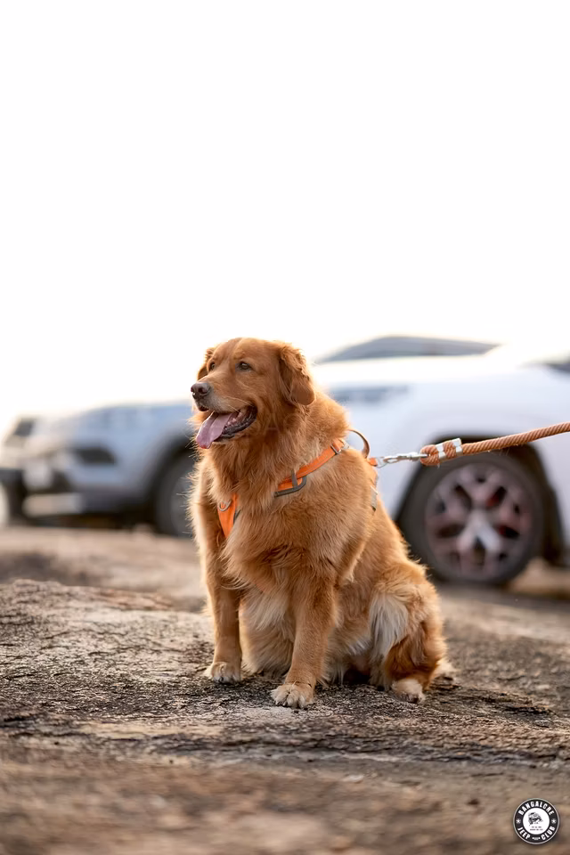 Bjc 8Th Anniversary 06