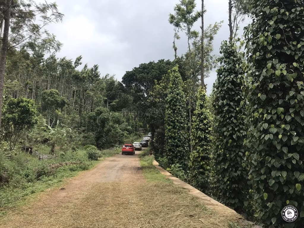 Bangalore and Madras Jeep Clubs Trip to Kolli Malai