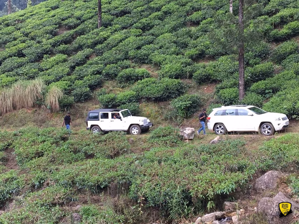 Cochin - Munnar Destination Drive