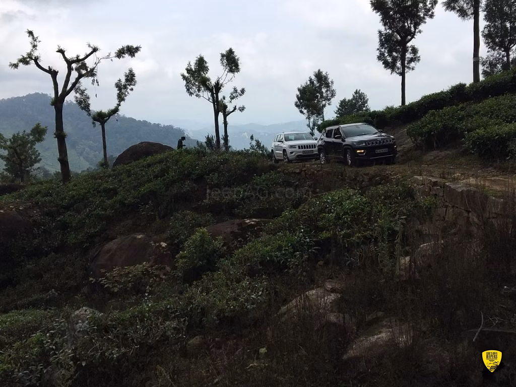 Cochin - Munnar Destination Drive