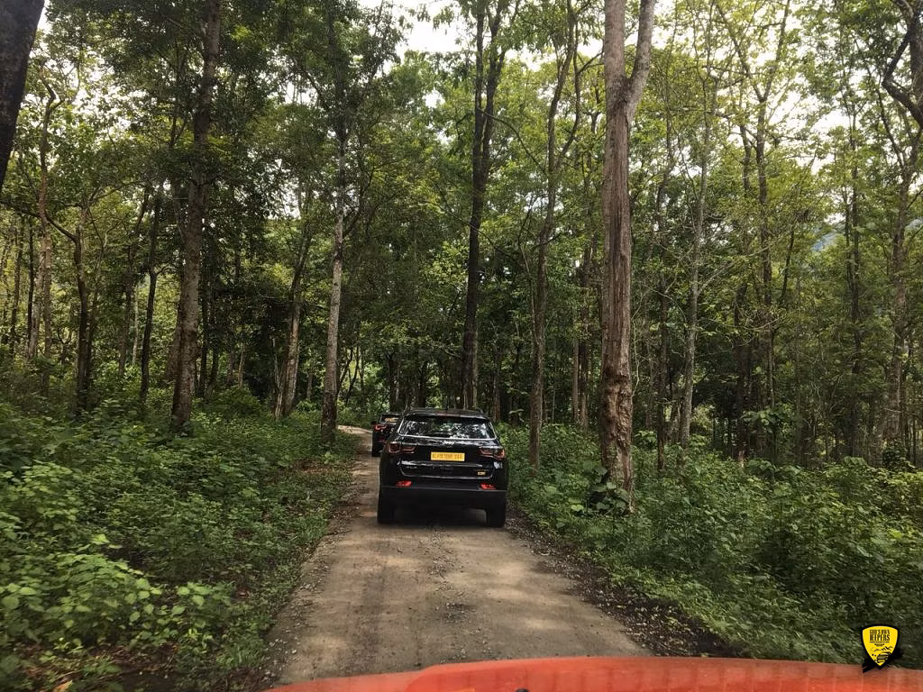 Cochin - Munnar Destination Drive