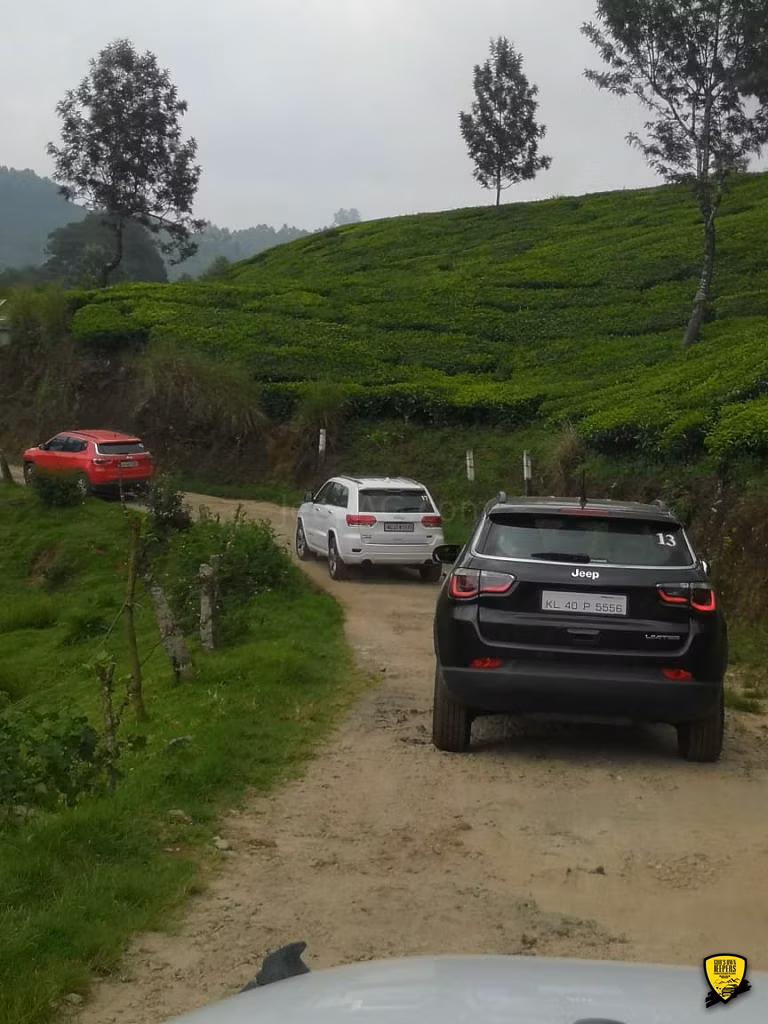 Cochin - Munnar Destination Drive