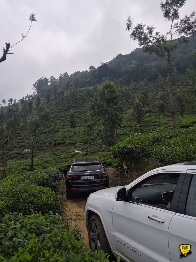 Cochin - Munnar Destination Drive