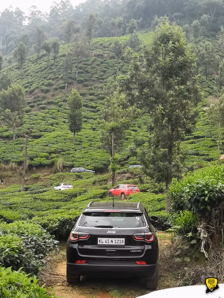 Cochin - Munnar Destination Drive