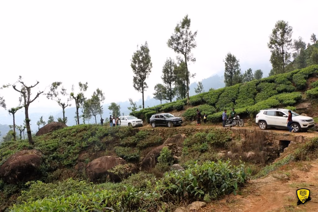 Cochin - Munnar Destination Drive