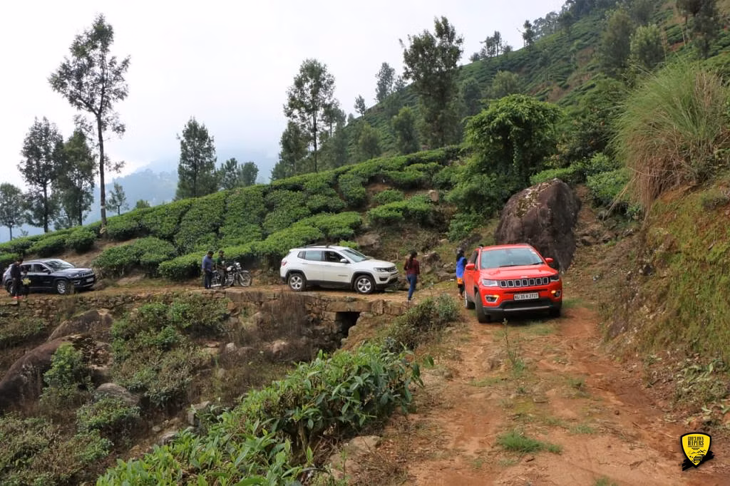 Cochin - Munnar Destination Drive
