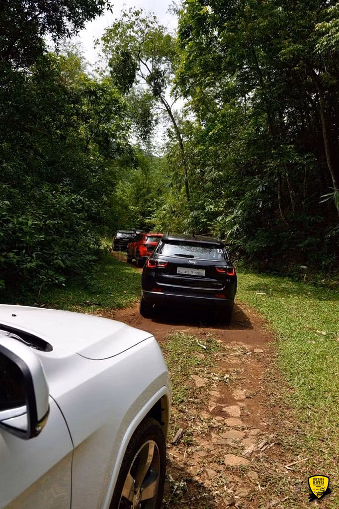Cochin - Munnar Destination Drive