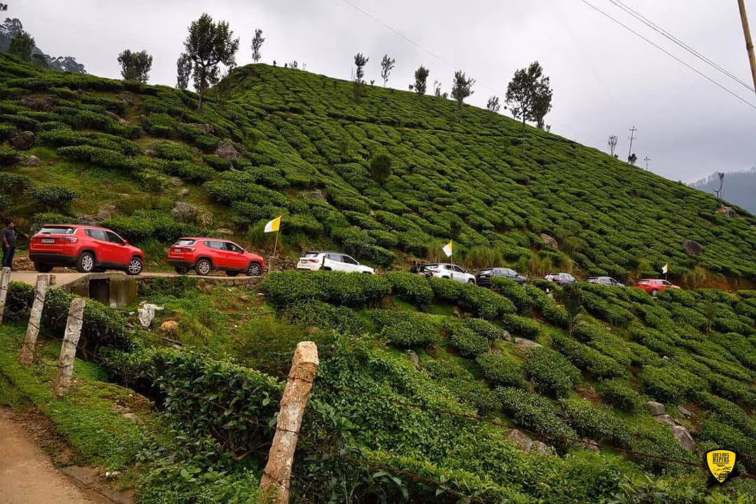 Cochin - Munnar Destination Drive