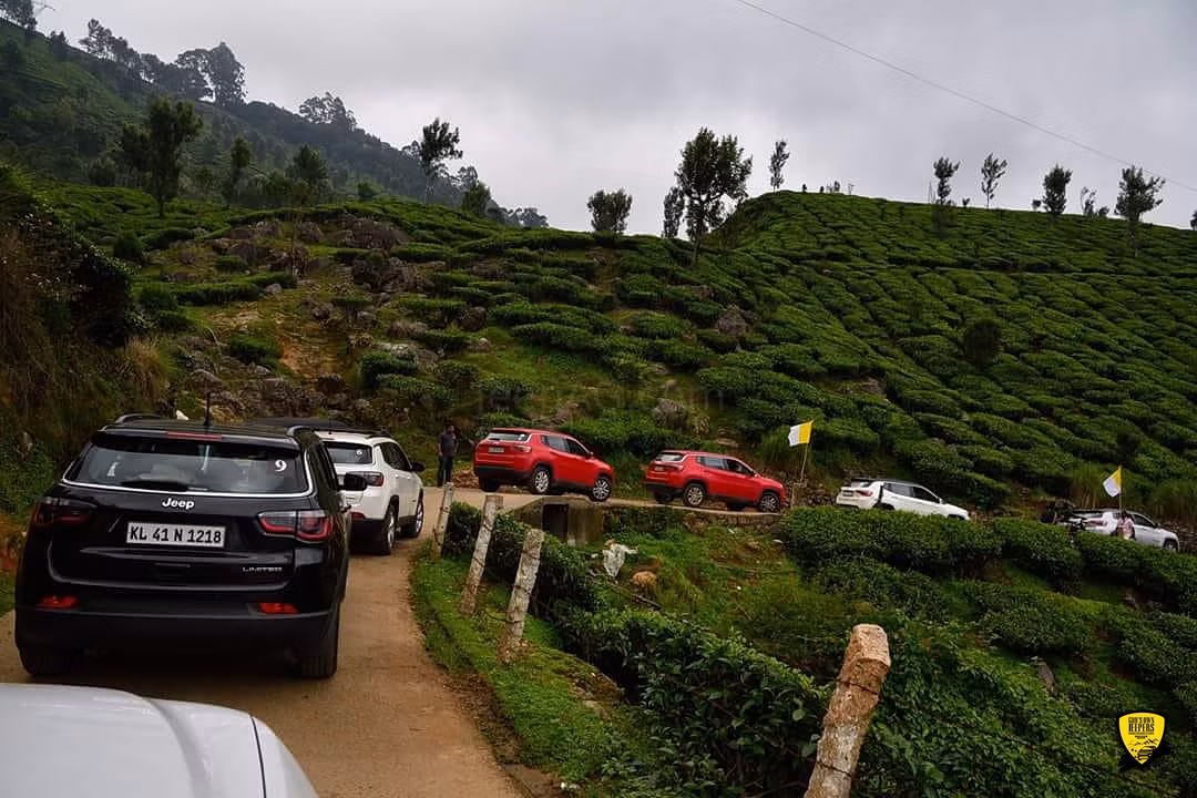 Cochin - Munnar Destination Drive