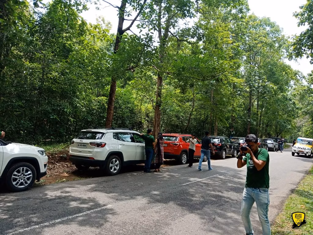 Cochin - Munnar Destination Drive