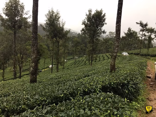 Monsoon Trails in God's own Kerala