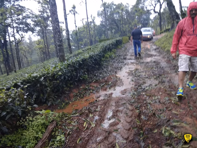 Monsoon Trails in God's own Kerala