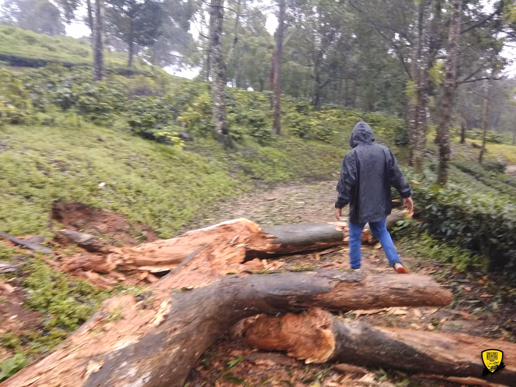 Monsoon Trails in God's own Kerala