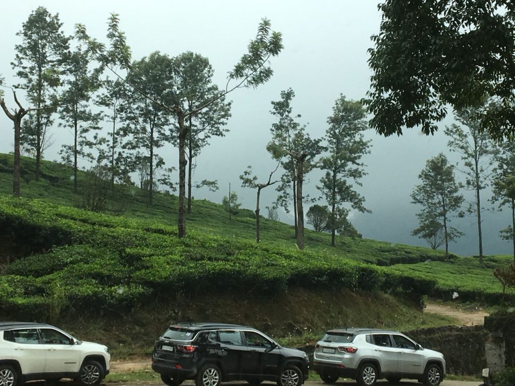 Cochin Munnar Jeep Destination Drive Kerala