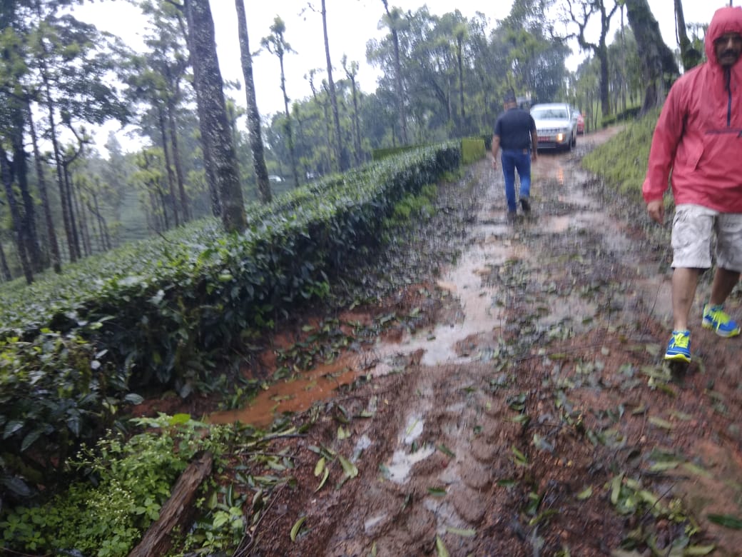 Monsoon Jeep Trail Kerala