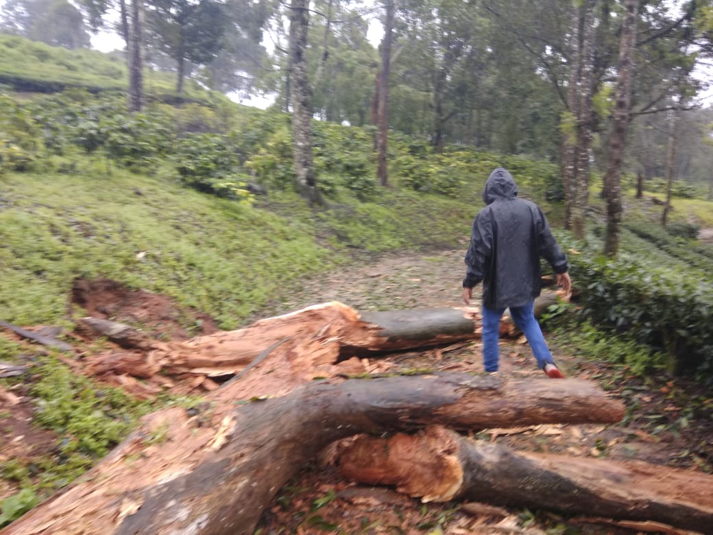 Monsoon Jeep Trail Kerala