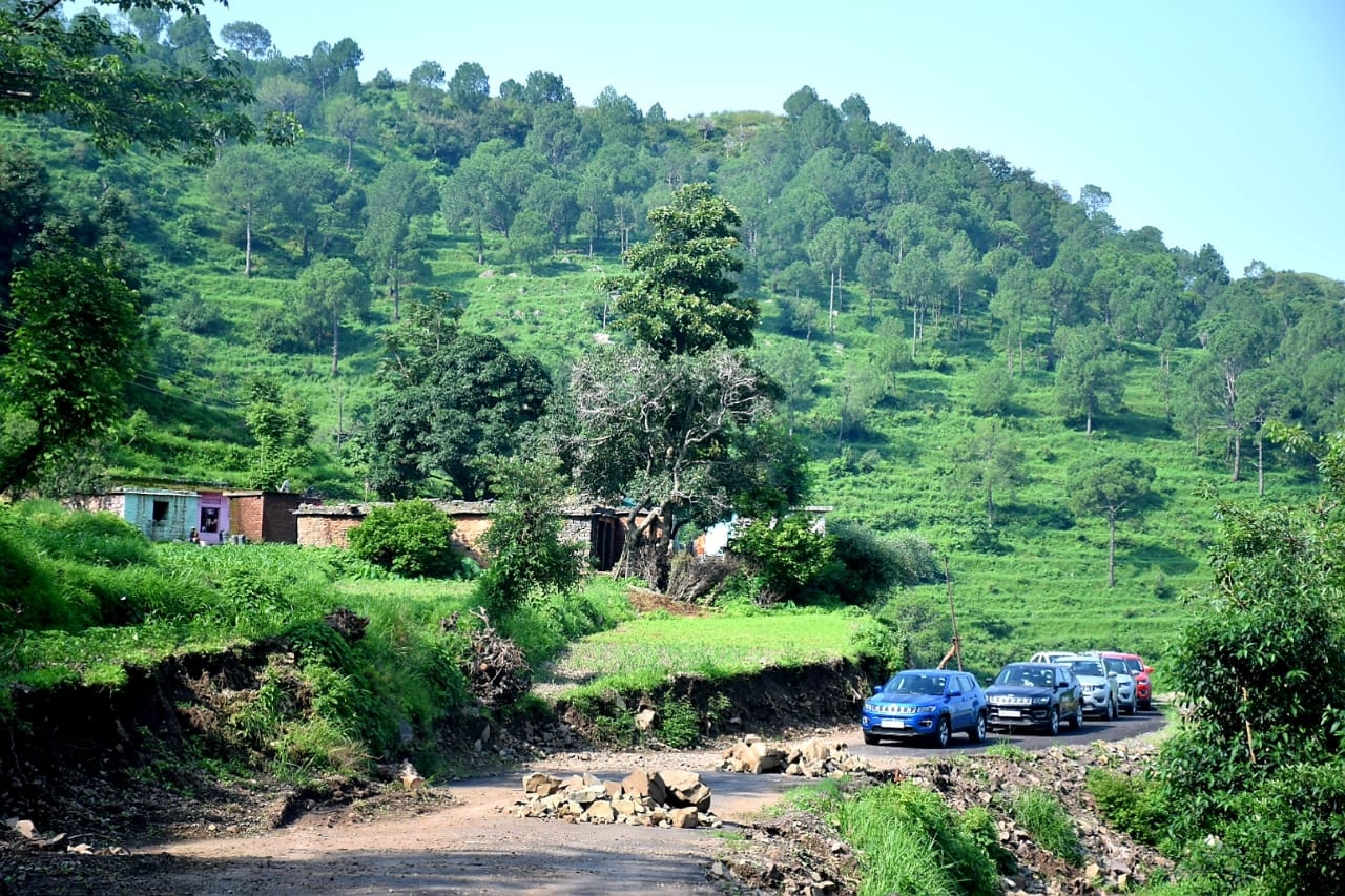 CHD Morning Trail