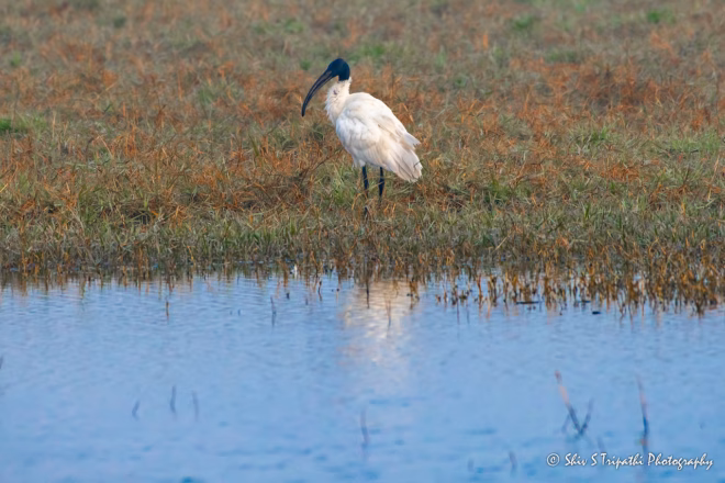 DNCR Mandhoti Bird Watching Trail