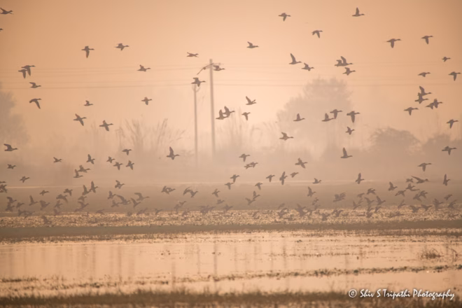 DNCR Mandhoti Bird Watching Trail