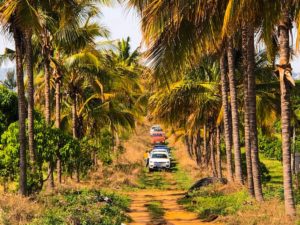 Bangalore Jeep Club May 13 2018 19